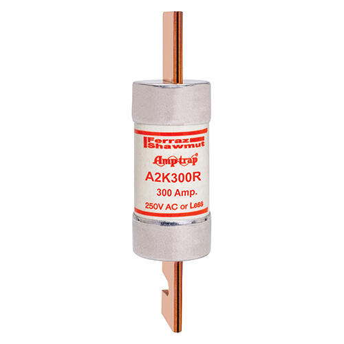Mersen Class RK1 Fast-Acting Fuse; 300A; 250VAC/250VDC