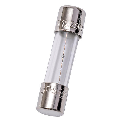 Mersen 5 x 20mm Glass Time Delay Fuse; 4/100A; 250VAC