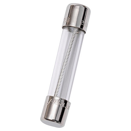 Mersen 1/4" x 1-1/4" Glass Time Delay Fuse; 1A; 250VAC