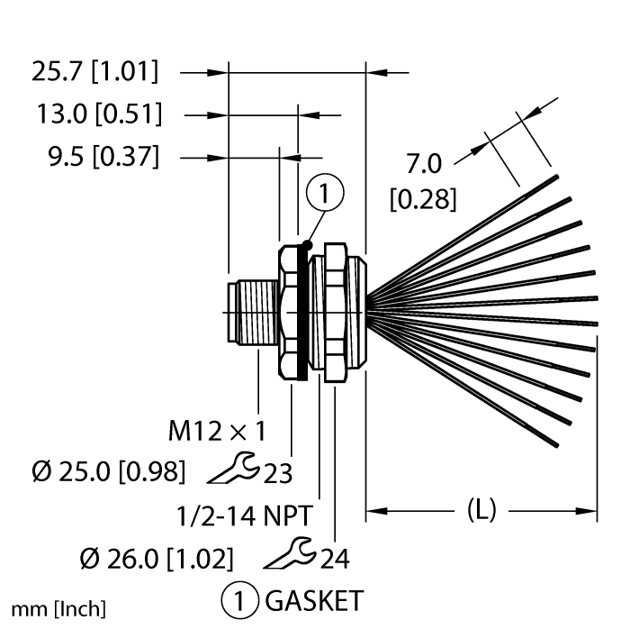Turck M12 Receptacle; Male; 12-Pin, 12 x 24AWG; A - Standard Key; Front Mount; 0.2m Lead Wire